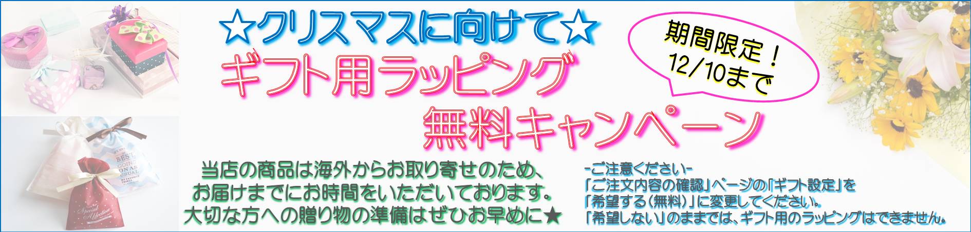 Aurora＆Oasis オーロラ＆オアシス クリスマス ギフト ラッピング無料