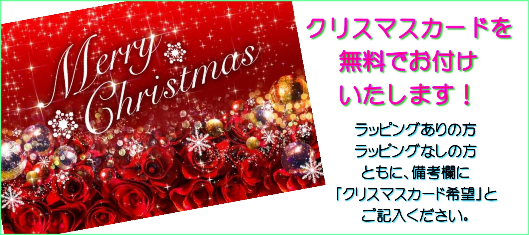 クリスマス プレゼント ギフト おすすめ 2024 クリスマスカード Aurora&Oasis オーロラ&オアシス